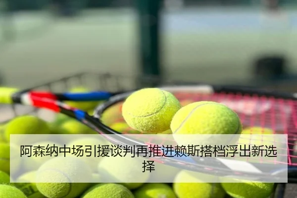 阿森纳中场引援谈判再推进赖斯搭档浮出新选择